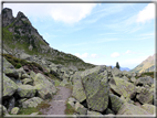 foto Forcella di Montalon
